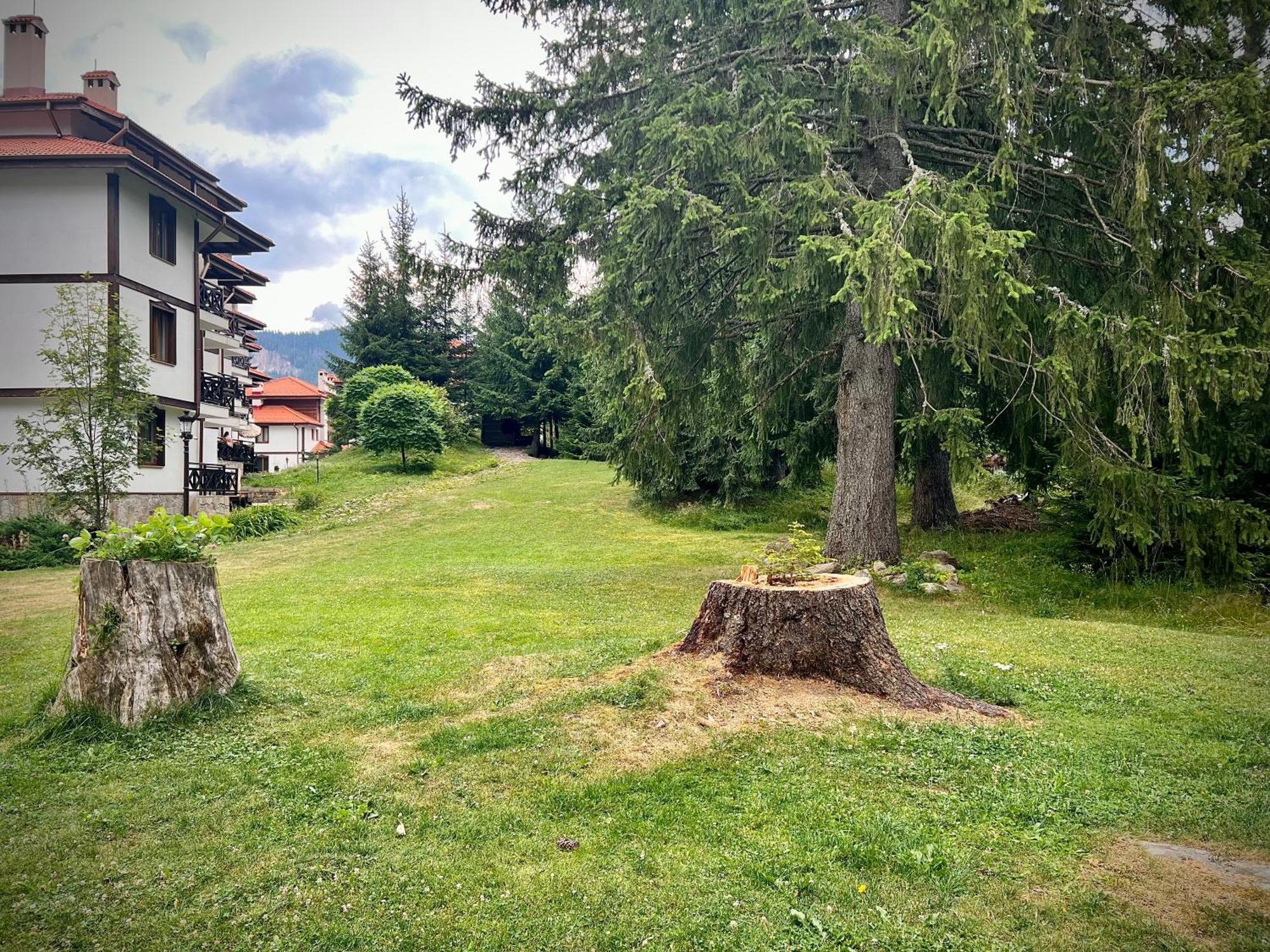 Relax Apartments: Mountain Lake Villa Venus Smolyan Exterior photo